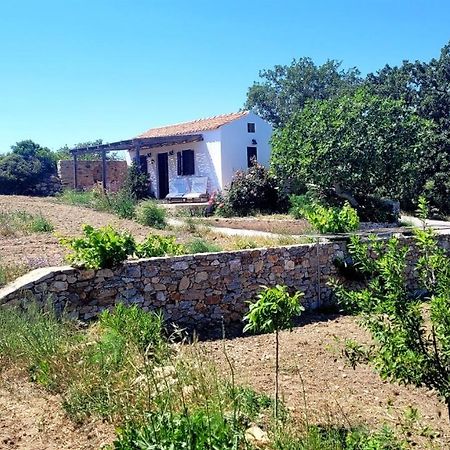 The Pigeon House Villa Potamos  Luaran gambar